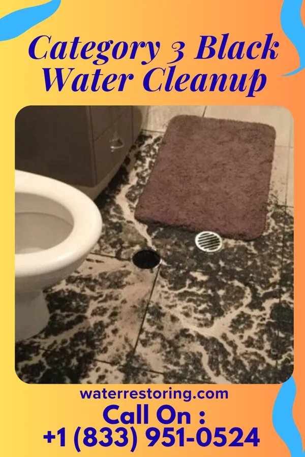 Category 3 Black Water Cleanup in Bay View, WA