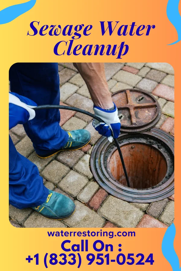 Sewage Water Cleanup in Bay View, WA